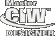 ciw master website designer